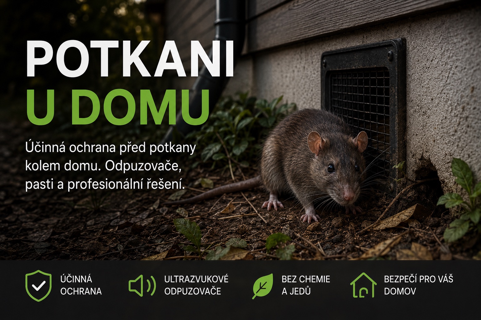 Řešení proti potkanům kolem domu